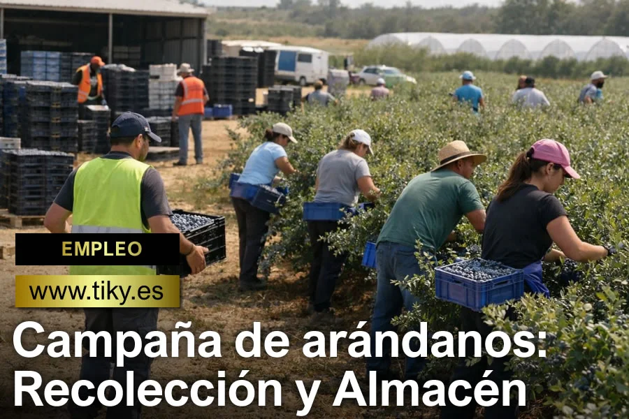 Operario de recolección y logística agrícola en Huelva para campaña de arándanos 2026
